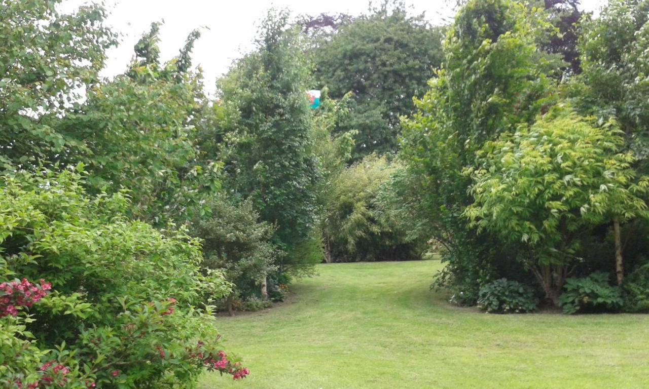 Bed & Breakfast Beech House *